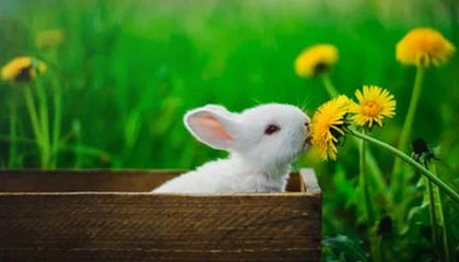 世界杯比赛高清直播-普理查德：和海沃德互相有意 全力追逐价格难承受